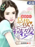 前妻可口:总裁轻轻爱