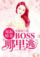 双面娇妻:BOSS哪里逃