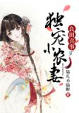 良田喜事:独宠小农妻