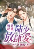 辣妻逆袭:陆少,放肆爱