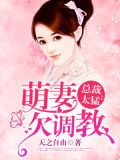盛婚溺爱：霸道总裁偏执爱