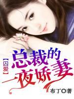 囚爱:总裁的一夜娇妻