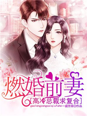 燃婚前妻:高冷总裁求复合