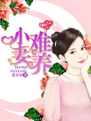 小妻难养