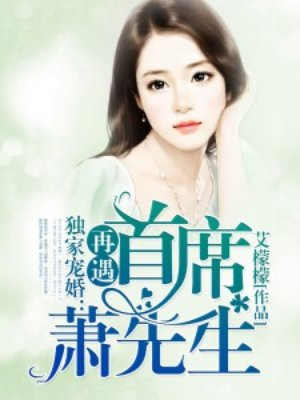 独家宠婚,再遇首席萧先生