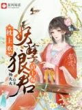 枕上欢:妖孽狼君请上榻