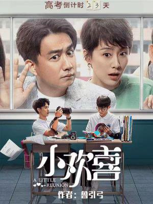 小欢喜(黄磊、海清主演影视原著)