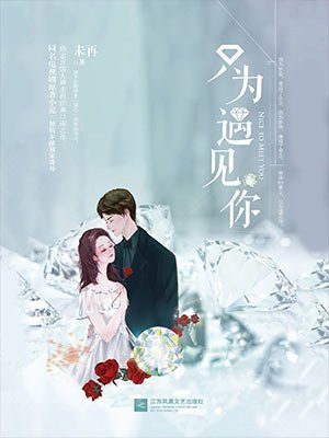 只为遇见你