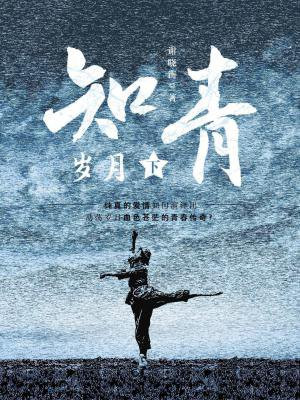 知青岁月(下)