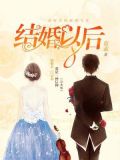 结婚以后(完本版)
