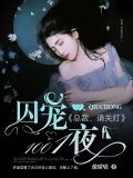 囚宠1001夜:总裁,请关灯