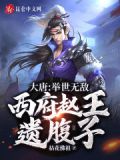 大唐:举世无敌,西府赵王遗腹子