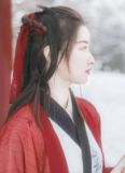 空间医女:寒冰将军暖心夫人