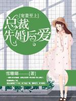 宠妻至上:总裁先婚后爱