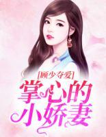 顾少夺爱:掌心的小娇妻