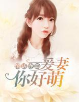 情话连篇:爱妻你好萌