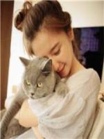 婚久情深:总裁太宠妻
