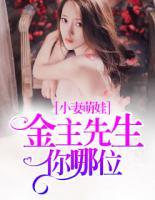 小妻萌娃:金主先生你哪位