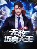 无敌近身天王秦天王王语嫣