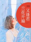 洛小梨兰斯睿