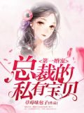 第一婚宠:总裁的私有宝贝