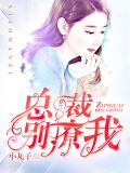 总裁,别撩我