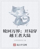 轮回万界:开局穿越王者大陆