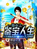 都市之鉴宝人生