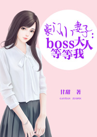 豪门小妻子:boss大人等等我