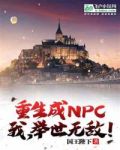 重生成npc,我,举世无敌!