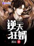 逆天狂婿
