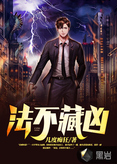 法不藏凶