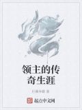 领主的传奇生涯