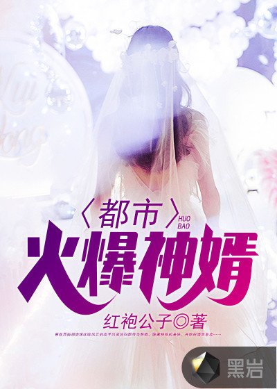 都市火爆神婿