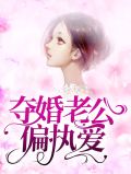夺婚老公偏执爱厉司辰