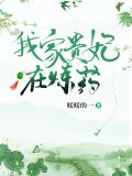 我家贵妃在炼药