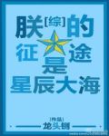 朕的征途是星辰大海