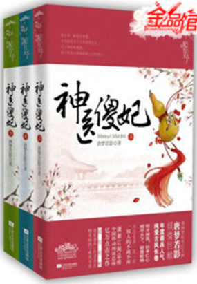 神医傻妃:烈夫不二嫁