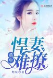 重生悍妻难撩