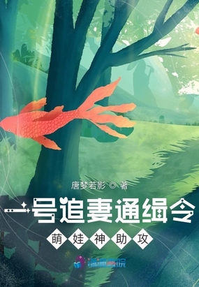 一号追妻通缉令:萌娃神助攻