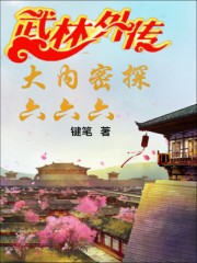 武林外传:大内密探六六六