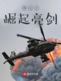 烽火之崛起亮剑