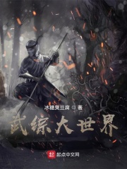 武综大世界