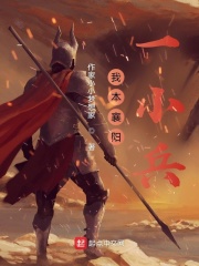 我本襄阳一小兵