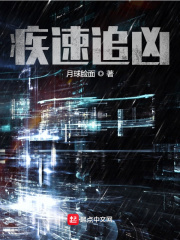 疾速追凶