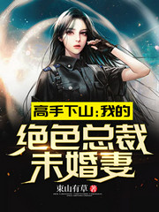 高手下山:我的绝色总裁未婚妻