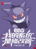 宝可梦:我的系统是修改器