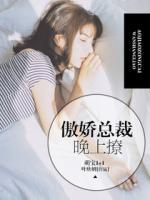萌宝1+1:傲娇总裁晚上撩
