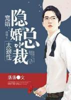 宠婚:隐婚总裁太狼性