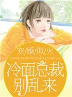 宠婚似火,冷面总裁别乱来